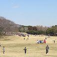 根岸森林公園(3)　2013年2月11日